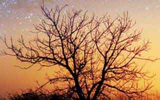 详细阅读:新手最容易踩的坑:每日大赛app官网的App差异怎么用?给你一个答案(别被忽悠) 新手最容易踩的坑:每日大赛app官网的App差异怎么用?给你一个答案(别被忽悠)