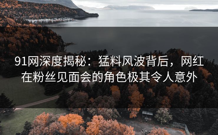 91网深度揭秘：猛料风波背后，网红在粉丝见面会的角色极其令人意外